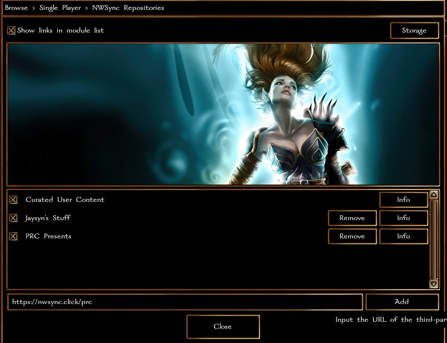 NWN Repository Setup Screenshot